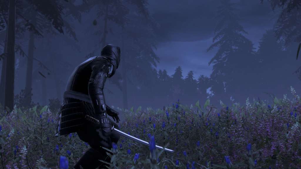 Total War: SHOGUN 2 - The Hattori Clan Pack DLC PC Steam CD Key screenshot 2