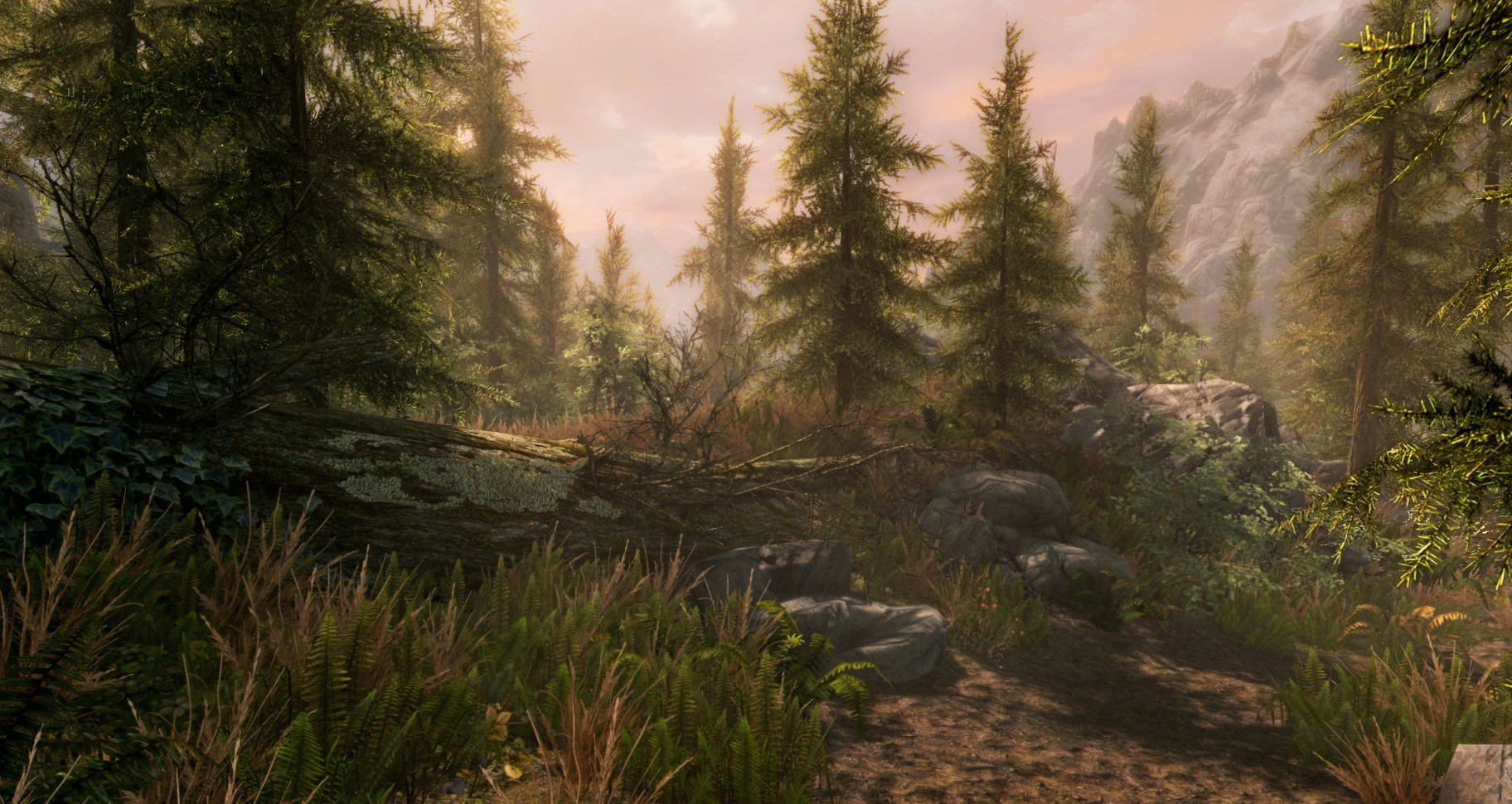 The Elder Scrolls Franchise Bundle PC Steam CD key screenshot 6