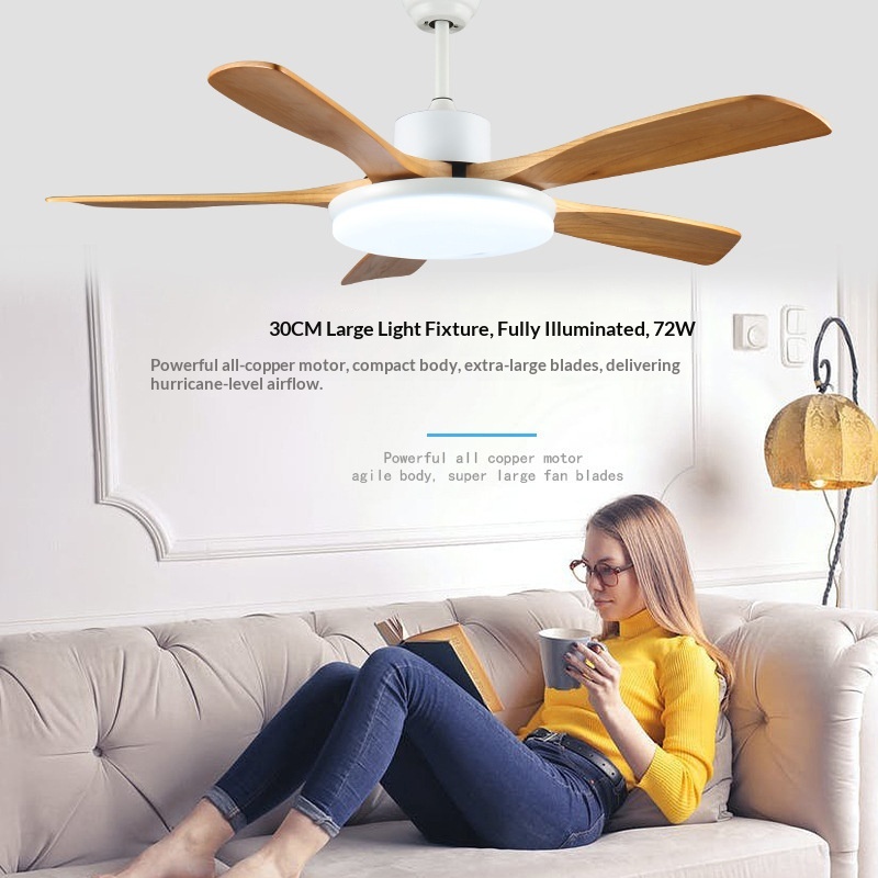 Wind Mute Silent Wind Ceiling Fan Lamp