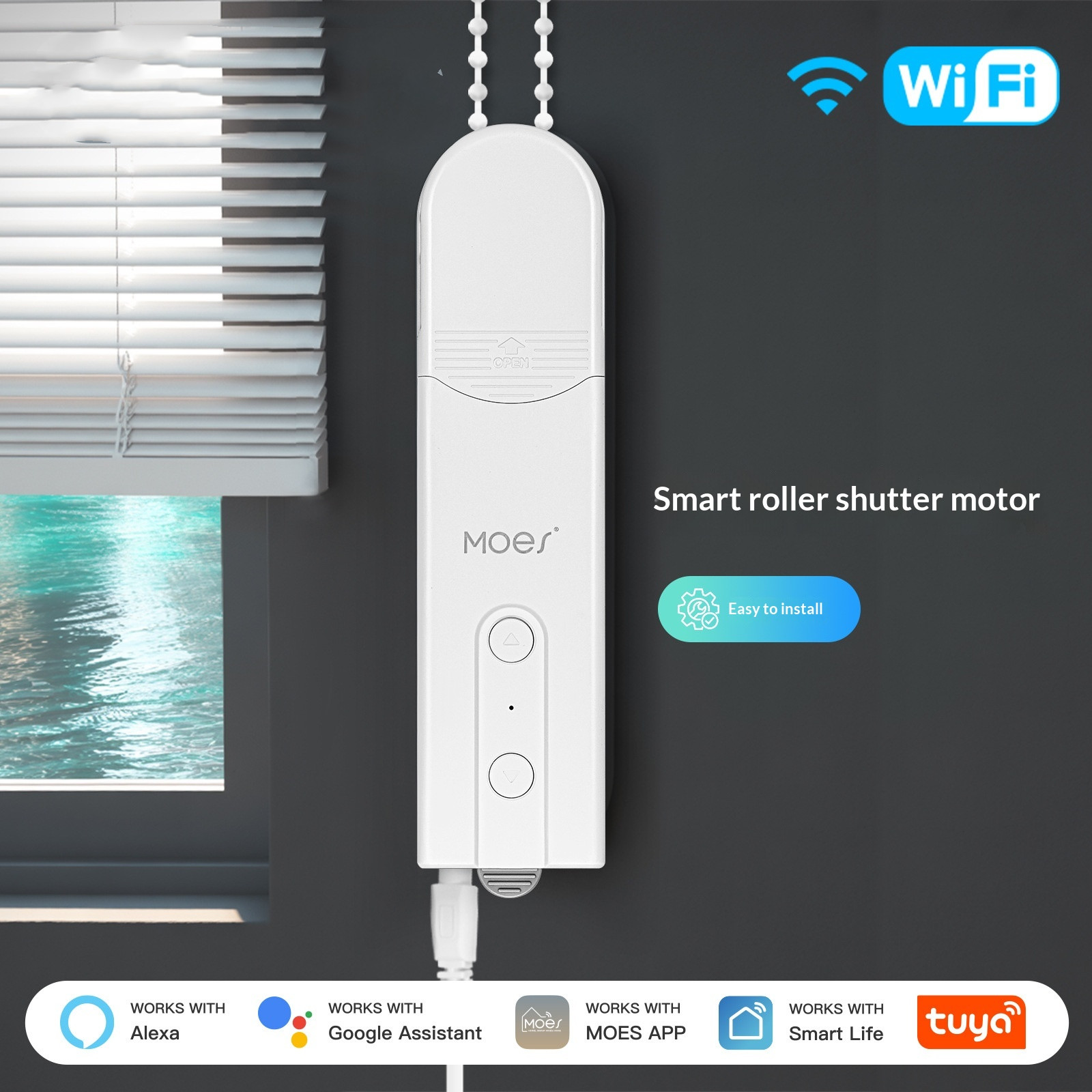 Graffiti Smart Home WiFi Curtain Motor