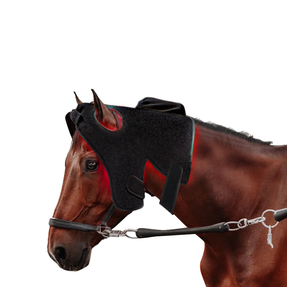 Protective Horse Collar Red Infrared Physiotherapy Products